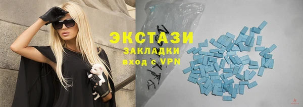 прущие грибы Лабытнанги