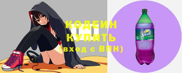 прущие грибы Лабытнанги